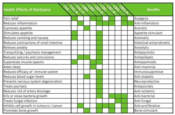 Cannabinoids and Their Effects