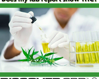 Does my lab report show THC?