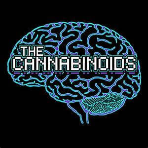 Optimizing Your Endocannabinoid System