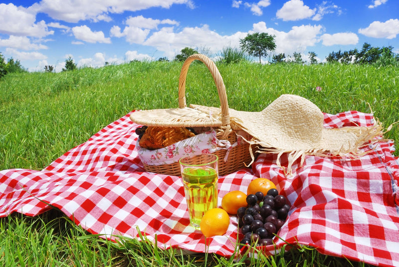 A CBD infused Picnic!