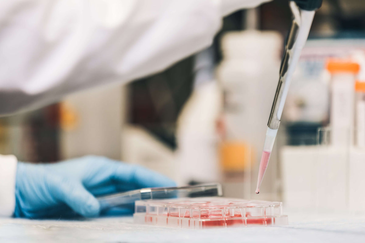 CBD and Drug Tests | Can you pass a drug test with CBD? CBD and Drug Tests | Can you pass a drug test with CBD?