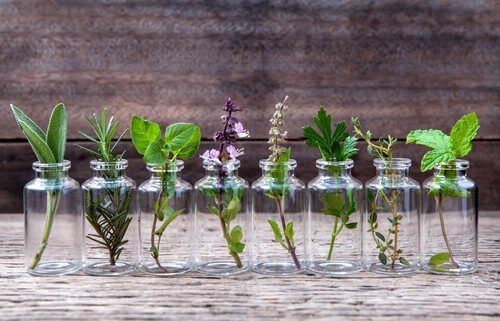 Why Do We Use Essential Oils?