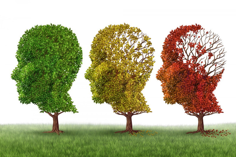 Are Alzheimer's Symptoms Impacted by Cannabidiol?