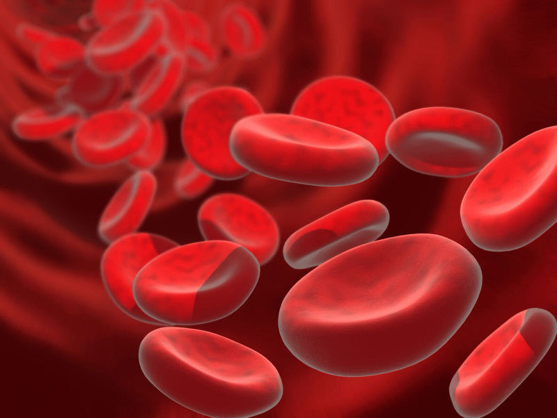 Can CBD Help with Blood Clots?