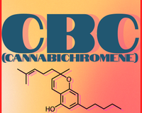 CBC: Your New Favorite Cannabinioid