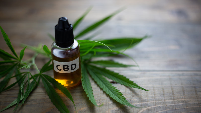 What To Expect When Using CBD