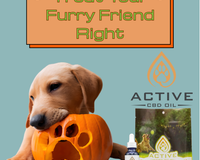 Treat Your Furry Friend Right With CBD