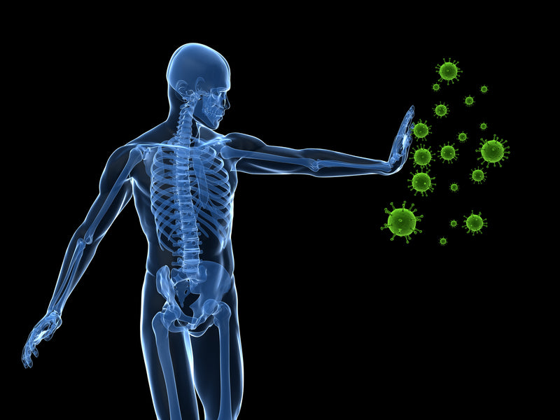 CBD and your Immune System