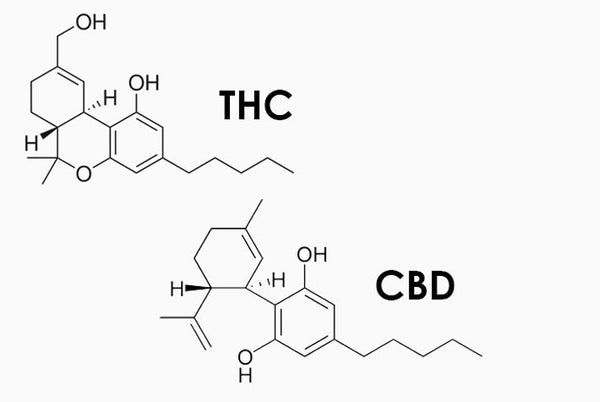 Should I use THC with CBD?