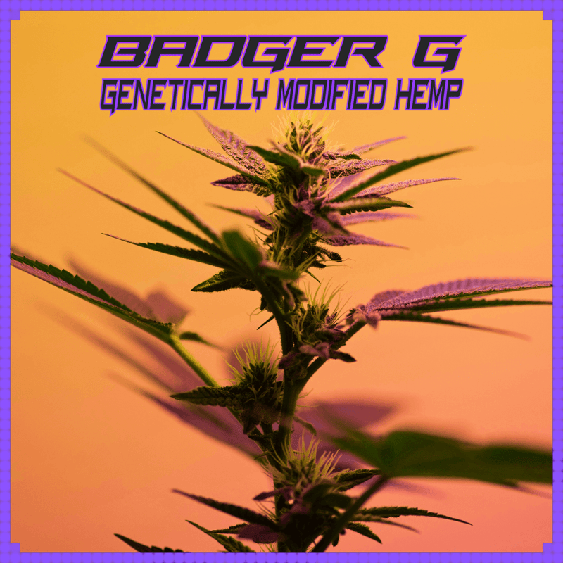 Badger G: Genetically Modified Hemp