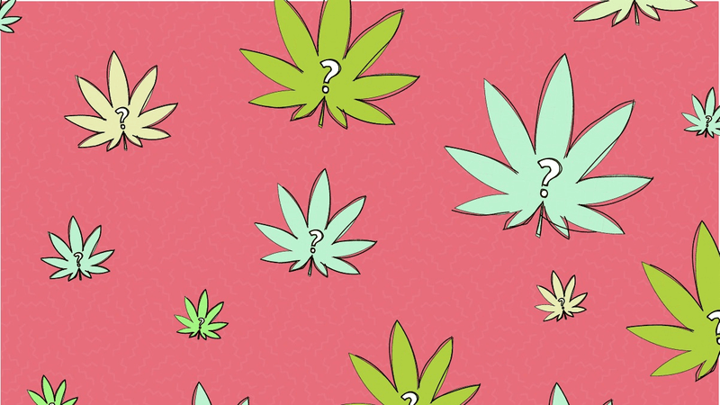 Common Myths about CBD