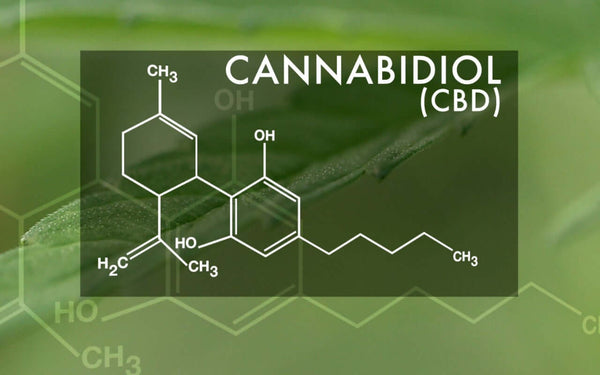 What Makes Cannabidiol Unique from Other Cannabinoids?