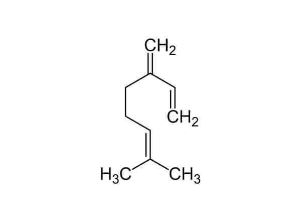 Discovering Terpenes: Myrcene