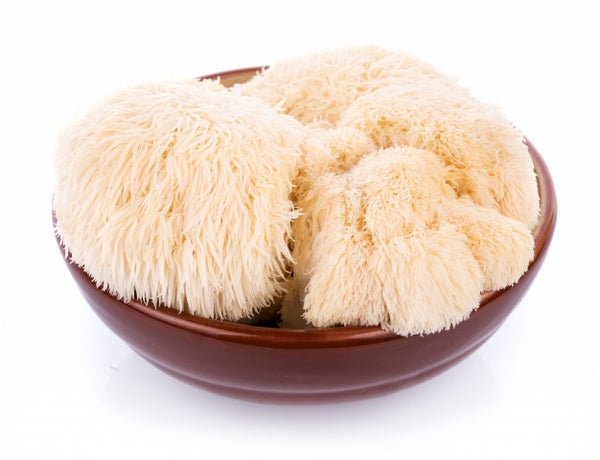 Lion's Mane Mushrooms: More Than Just a Trend