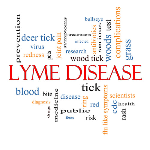 Can CBD Help with Lyme Disease?