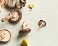 Discovering Other Natural Remedies: Adaptogens and Nootropics