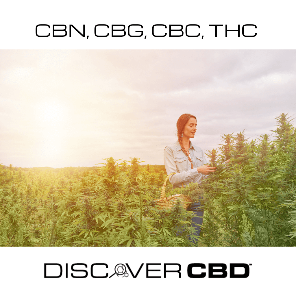 ヌ　TH×E 1ml CBN CBG CBD CBP PHC CBG_Isolate_Front_800x.png?v=