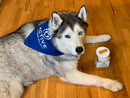 Bandana For Dogs CBD Rewards Item Discover CBD